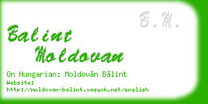balint moldovan business card