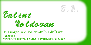 balint moldovan business card